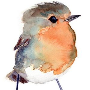 Meet your Posher, Robin